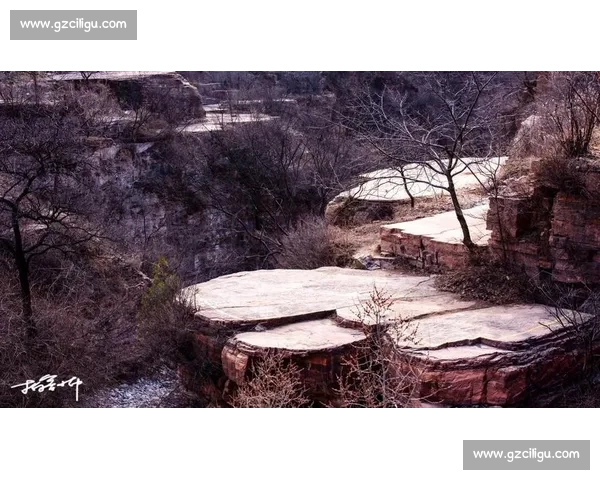 赫伊森首秀汗湿衣襟诠释拼搏，自评表现获认可