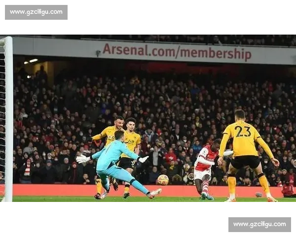 穆萨转会肥皂剧升级：诺丁汉森林中场猎物曝光，狼队虎视眈眈