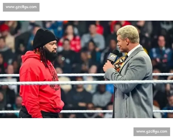 雅各布 - 法图与索罗 - 西科亚：从兄弟情到擂台死敌的背叛传奇